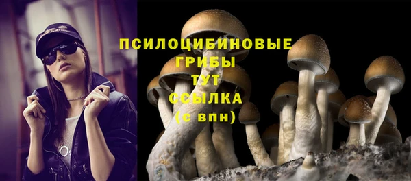 герыч Абаза